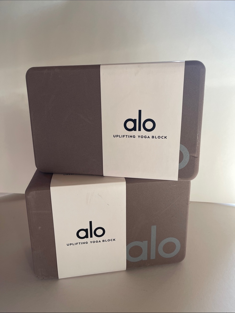 ALO Yoga Uplifting Yoga Blocks - Taupe (Pair)
